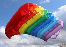 Fury 220 7 cell parachute canopy - (modified for BASE w/ tailpocket) + risers