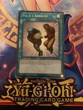 Yu-Gi-Oh FLIGHT A L TEAR FR096 - Secret Rare