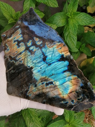 Labradorite polie face avant