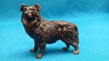 BRONZE POLYCHROME DE VIENNE CHIEN BOUVIER BERNOIS TOURNANT TÊTE A GAUCHE