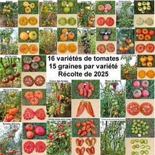 240 graines - 16 variétés de
