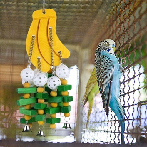 Jouets pour perroquets - jouets,