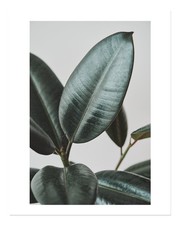 Art mural botanique élégant