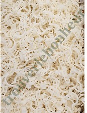 1000 Tuteur Support de Jardin