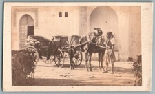 CDV 1870 Horse Carriage in North Africa Carriage Horse-drawn Photo