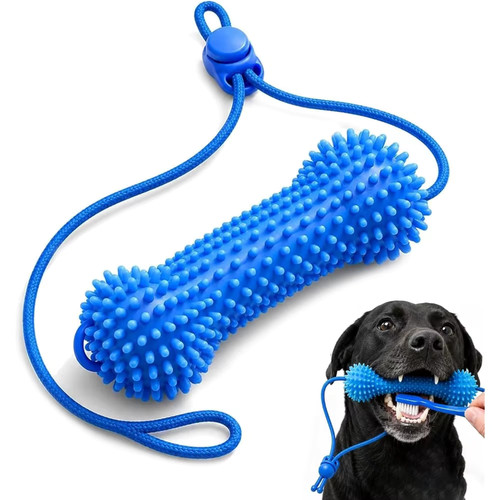 Jouet dentaire chien double