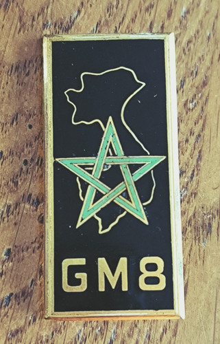Insigne militaire gm8 - gm8, groupe
