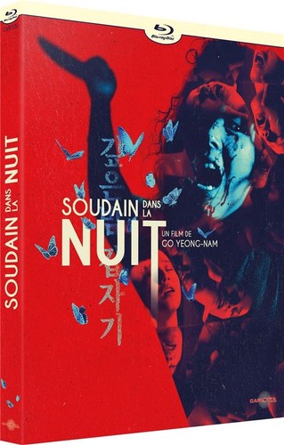 Blu ray soudain nuit - nuit,