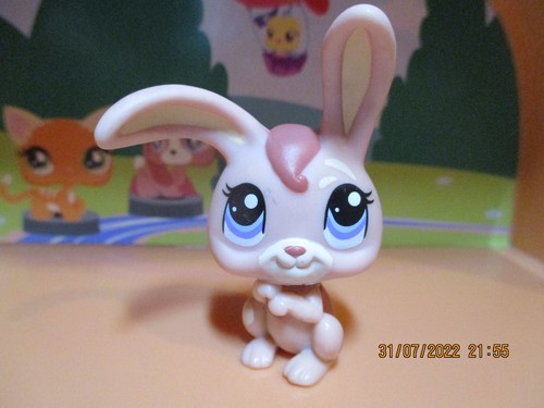 Petshop lapin garenne - petshop,