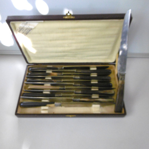 Couteaux corne lames - 12,