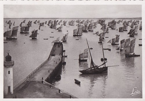 Carte postale 10x15cm - , postcard