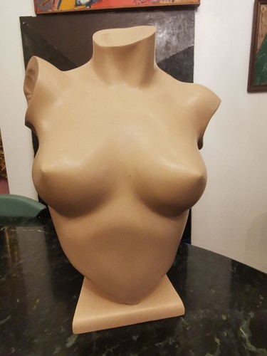Buste mannequin vintage siegel - vintage,