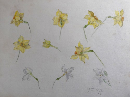 Aquarelle ancienne fleurs
