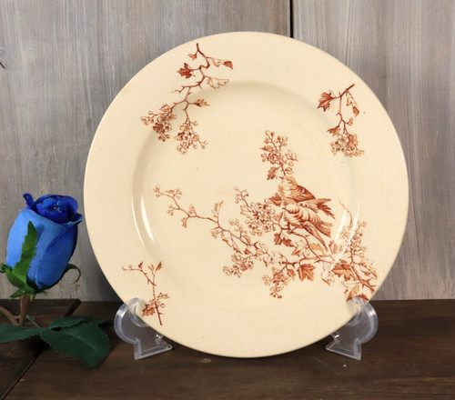 Ancienne assiette terre de - en,