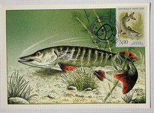 Carte Postale Premier Jour