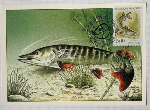 Carte postale premier jour - carte,