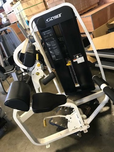 Cybex eagle back extension - eagle,