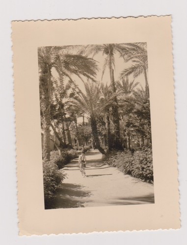 Photo ancienne petite - photo, 🎞️