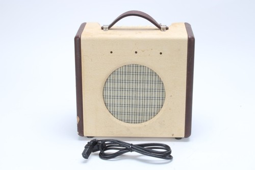 Danelectro nifty watt - danelectro,