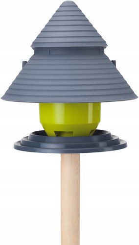 Mangeoire oiseaux avec - oiseaux,