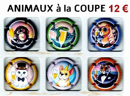 Capsules champagne - ,