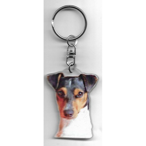 Jack russel chien porte cles - russel, /