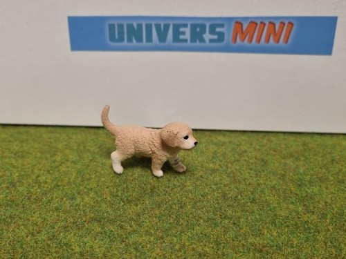 16396 chiot golden - -, retriever