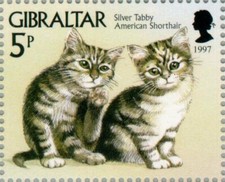 GIBRALTAR -1997- Silver Tabby