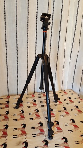 Vanguard tripod alta - tripod, alta+