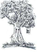 Illustration Originale Fusain