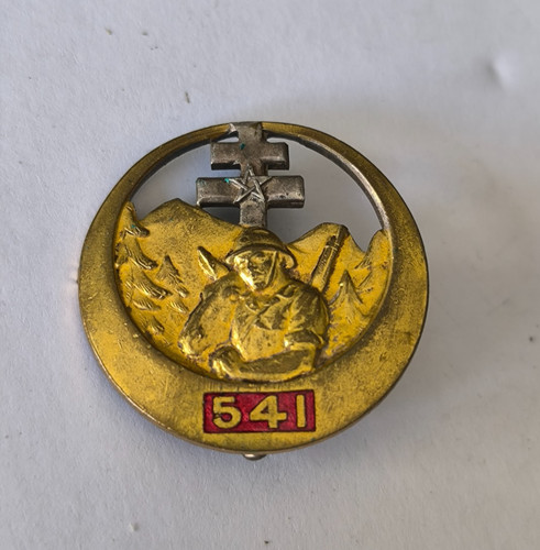 Insigne 541 ambulance - insigne,