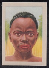 Vintage 1948 "OUR CONGO" Belgian Trade Card Pur PYGMEE Bambut