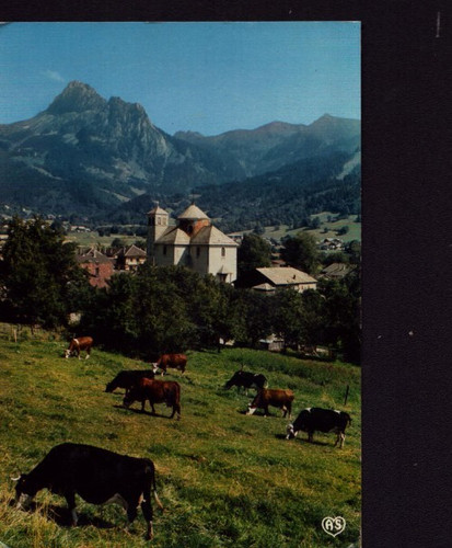 Bernex bovins prairie - bernex, (74)