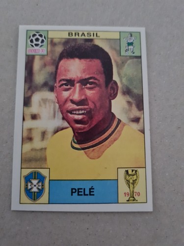 Panini world cup - panini, sonric