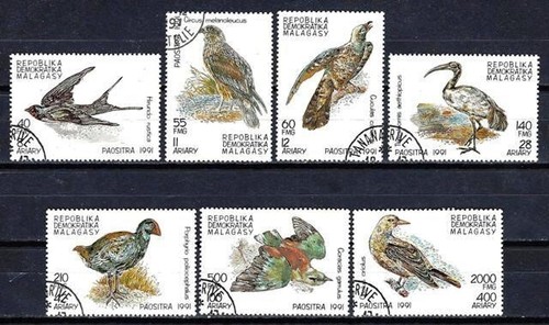 Animaux oiseaux madagascar - animaux,