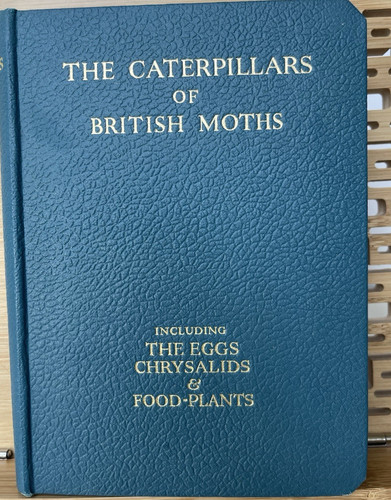 The caterpillars british - caterpillars,