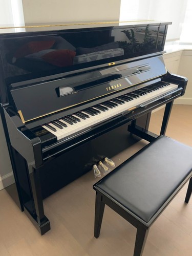 Brand new yamaha upright - yamaha, u1