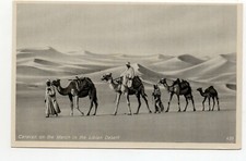 EGYPTE - Egypt - Old Postcard - Les chameaux caravane en marche