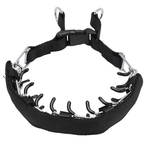 Collier dressage à - √collier,