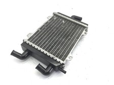 PEUGEOT SPEEDFIGHT 2 50 2004 VGAS1BBBA RADIATOR