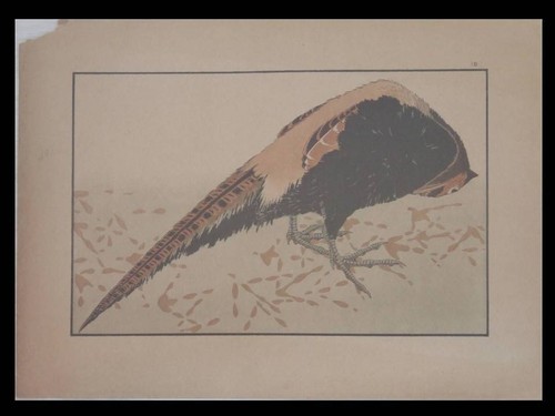 Hokusai faisan 1889 - -,