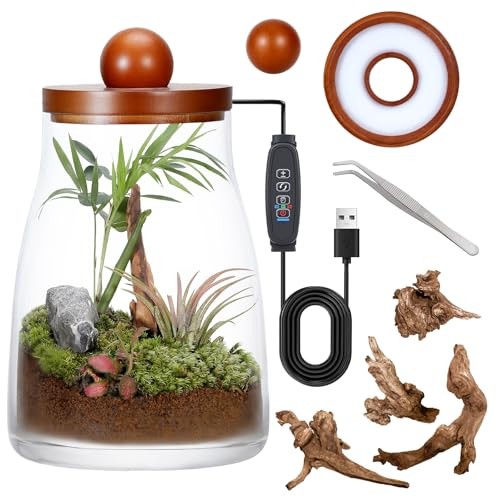 Desktop glass plant - desktop,