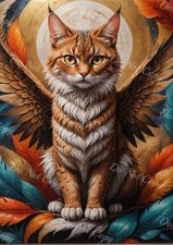 Photo A4 - Chat Ailé des