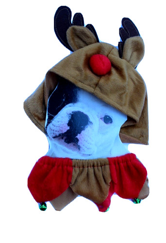 Deguisement caribou pour petit - caribou,