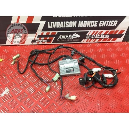 Faisceau boitier rapidbike - boitier,