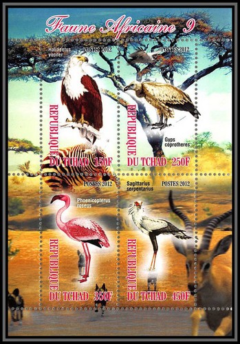 1124 tchad oiseaux bird - bf,