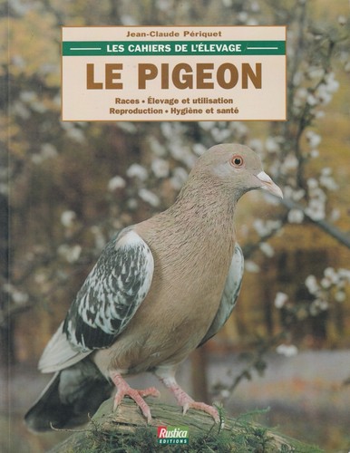 Pigeon jean claude - pigeon, jean-claude