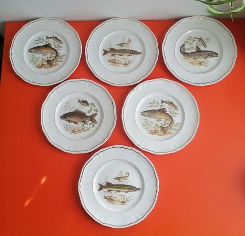 Grandes assiettes plates à - 6,