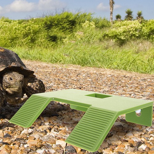 Piscine pour tortue terrestre - pour,