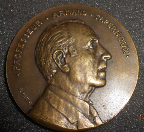 Médaille bronze professeur - médaille,